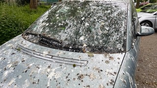 Vogelkot auf Autos am Bahnhof Baden-Baden. Wie kriegt man den Vogeldreck schnell und einfach vom Lack, bevor Schäden entstehen? (Foto: SWR, Kira Urschinger) Vogelkot auf Autos am Bahnhof Baden-Baden. Wie kriegt man den Vogeldreck schnell und einfach vom Lack, bevor Schäden entstehen?