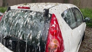 Vogelkot auf Autos am Bahnhof Baden-Baden. Wie kriegt man den Vogeldreck schnell und einfach vom Lack, bevor Schäden entstehen? (Foto: SWR, Kira Urschinger) Vogelkot auf Autos am Bahnhof Baden-Baden. Wie kriegt man den Vogeldreck schnell und einfach vom Lack, bevor Schäden entstehen?