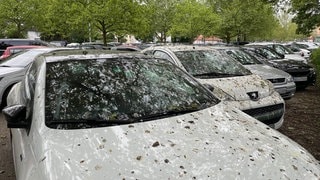 Vogelkot auf Autos am Bahnhof Baden-Baden. Wie kriegt man den Vogeldreck schnell und einfach vom Lack, bevor Schäden entstehen? (Foto: SWR, Kira Urschinger) Vogelkot auf Autos am Bahnhof Baden-Baden. Wie kriegt man den Vogeldreck schnell und einfach vom Lack, bevor Schäden entstehen?