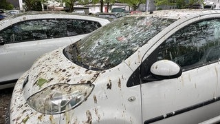 Vogelkot auf Autos am Bahnhof Baden-Baden. Wie kriegt man den Vogeldreck schnell und einfach vom Lack, bevor Schäden entstehen? (Foto: SWR, Kira Urschinger) Vogelkot auf Autos am Bahnhof Baden-Baden. Wie kriegt man den Vogeldreck schnell und einfach vom Lack, bevor Schäden entstehen?