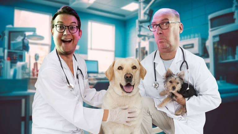 Bildcollage der SWR3-Comedy „Die Tierdocs“. Dr. Hart (Andreas Müller) und Dr. Zart (Steffen Auer) stehen in einer Tierarztpraxis mit zwei Hunden und lachen in die Kamera. (Foto: Adobe Stock, Adobe Stock | Ramon, Montage: SWR3)