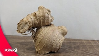 Ein lustiges Foto eines Lebensmittels, das eine Ingwerknolle in Tierform zeigt. (Foto: SWR3, privat) Ein lustiges Foto eines Lebensmittels, das eine Ingwerknolle in Tierform zeigt.