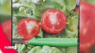 Ein lustiges Foto eines Lebensmittels, das eine halbierte Tomate zeigt. Das Fruchtfleisch sieht aus wie ein Ziegenkopf. (Foto: SWR3, privat) Ein lustiges Foto eines Lebensmittels, das eine halbierte Tomate zeigt. Das Fruchtfleisch sieht aus wie ein Ziegenkopf.