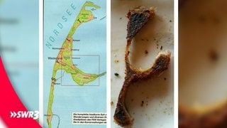 Ein lustiges Foto eines Lebensmittels, das einen Knochen in Form der Insel Westerland zeigt. (Foto: SWR3, privat) Ein lustiges Foto eines Lebensmittels, das einen Knochen in Form der Insel Westerland zeigt.