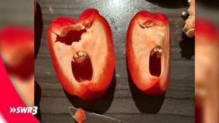 Ein lustiges Foto eines Lebensmittels, das zwei Hälften einer roten Paprika zeigt. (Foto: SWR3, privat) Ein lustiges Foto eines Lebensmittels, das zwei Hälften einer roten Paprika zeigt.