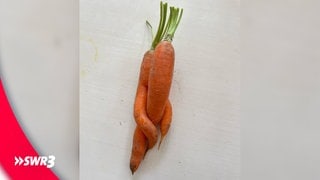Ein lustiges Foto eines Lebensmittels, das zwei orange Karotten zeigt. (Foto: SWR3, privat) Ein lustiges Foto eines Lebensmittels, das zwei orange Karotten zeigt.